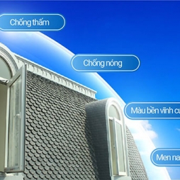 ngói lợp biệt thự Pháp - ngói vảy cá