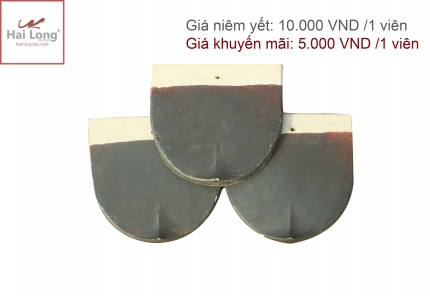 Sản phẩm giảm giá 50% 02 Sản phẩm giảm giá 50% 01