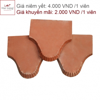 Sản phẩm giảm giá 50% 02 Sản phẩm giảm giá 50% 01