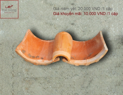 Sản phẩm giảm giá 50% 02 Sản phẩm giảm giá 50% 01