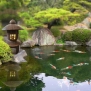 Đèn gốm trang trí sân vườn phong cách Nhật Bản 02 Đèn gốm trang trí sân vườn phong cách Nhật Bản 01